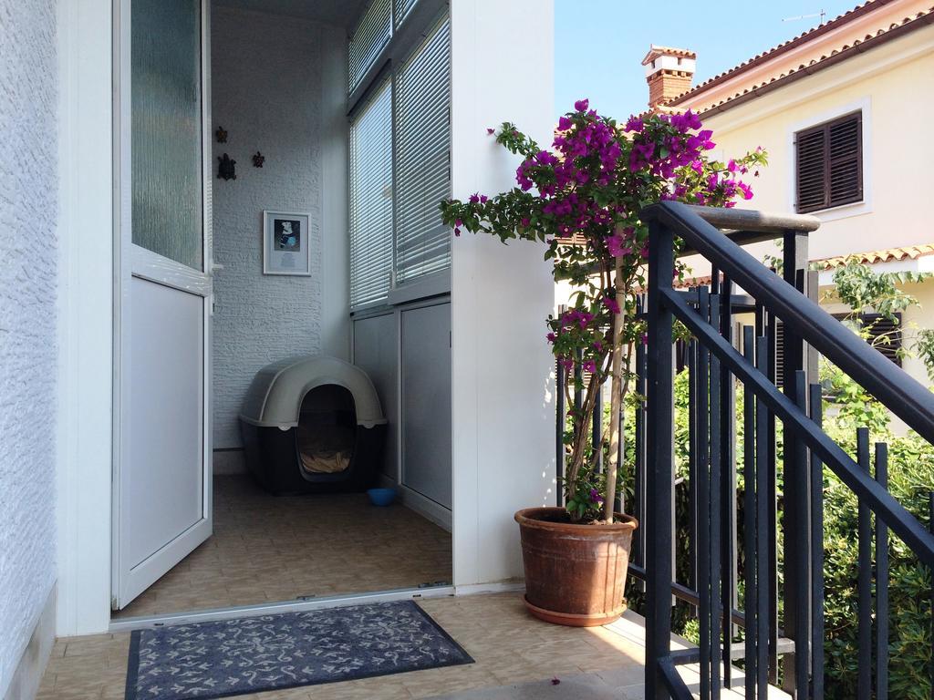 Apartments Kolorček Izola Buitenkant foto